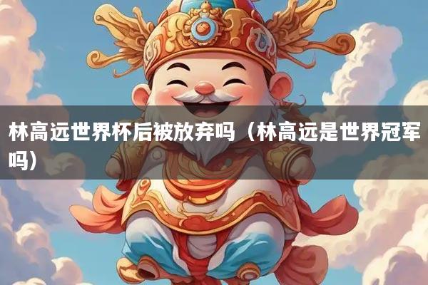 林高远世界杯后被放弃吗（林高远是世界冠军吗）